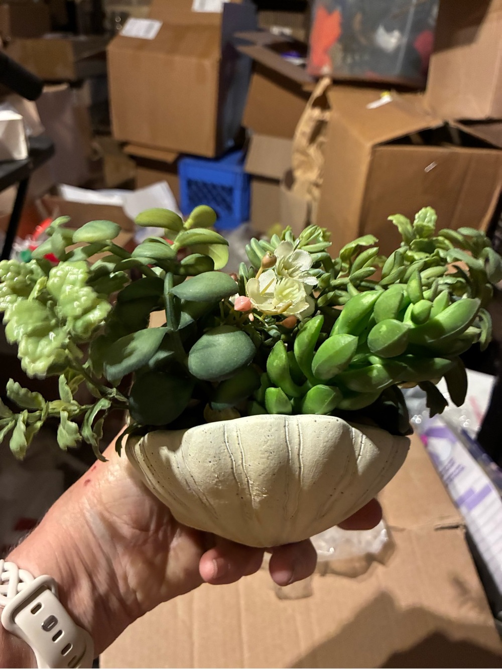 Handheld Cream Succulent Planter with Green Faux Succulents